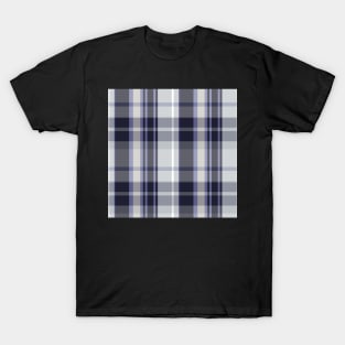 Winter Aesthetic Conall 1 Hand Drawn Textured Plaid Pattern T-Shirt